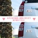 ХåɤФĴݡڥޥ˥ƥ in CARBABY in CAR2åå ֥ޥͥåȥƥåڤ椦ѥåǽ