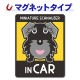�ߥ˥��奢����ʥ����� ���٤��ӿ���2���MINIATURE SCHNAUZER IN CAR�ۼ֥ޥ��ͥåȥ��ƥå����ڤ椦�ѥ��å����������ǽ��