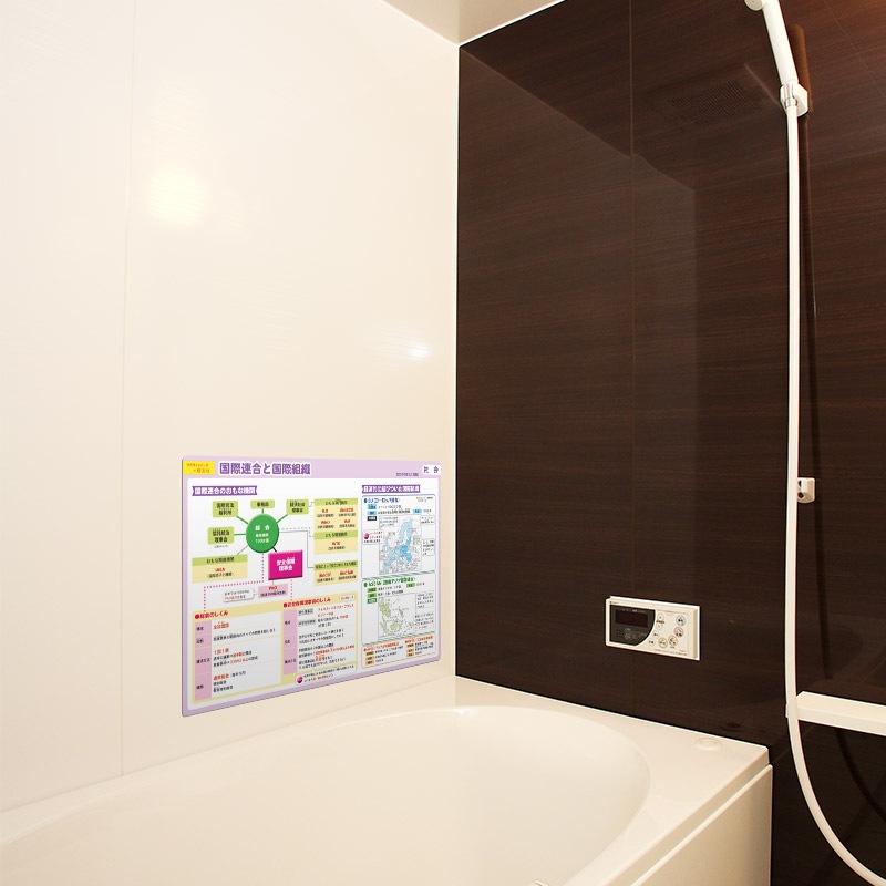 ��ؼ�������Ϥ�ݥ������ڹ��Ϣ��ȹ���ȿ��ۣͣС߲�ʸ�� �ޥ��ͥåȥ������� ���դ��ݥ�����B4������ �ΰ�ޥ��ͥåȡ������ظ����