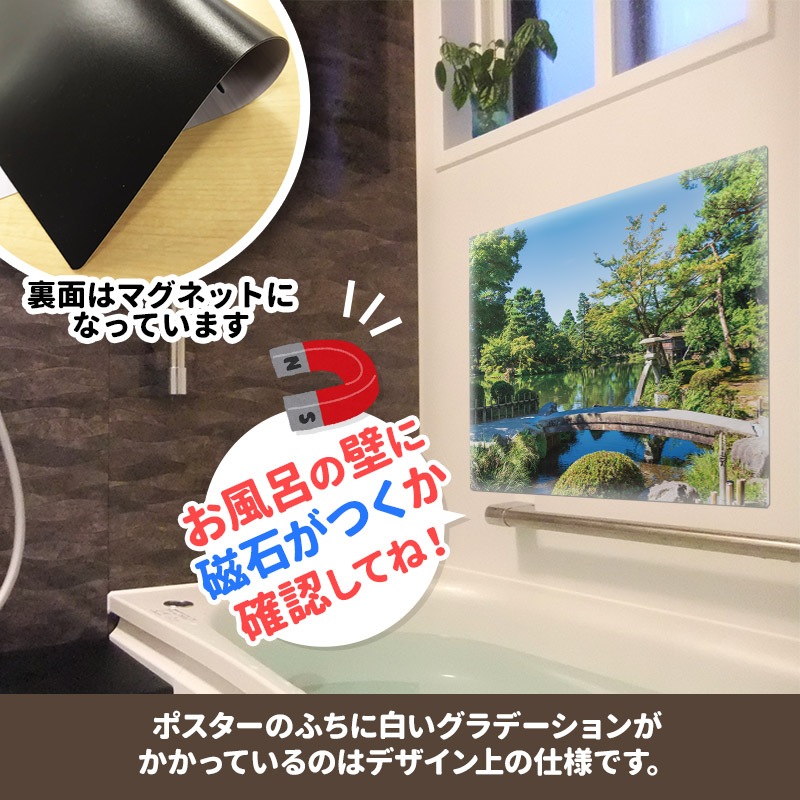 ����Ϥ�ݥ������ڷ�ϻ��ۥޥ��ͥåȥ��������������ظ����