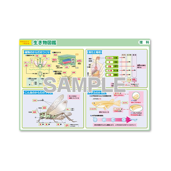 ��ؼ�������Ϥ�ݥ�����������ʪ�޴աۣͣС߲�ʸ�� �ޥ��ͥåȥ������� ���դ��ݥ�����B4������ �ΰ�ޥ��ͥåȡ������ظ����