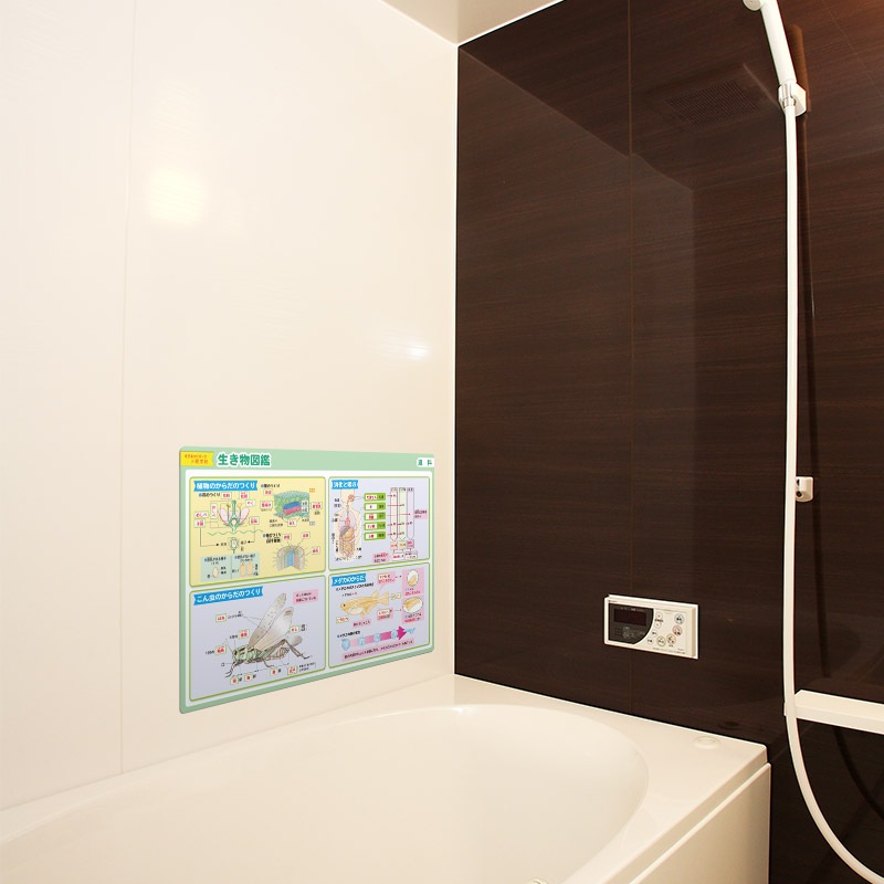 ��ؼ�������Ϥ�ݥ�����������ʪ�޴աۣͣС߲�ʸ�� �ޥ��ͥåȥ������� ���դ��ݥ�����B4������ �ΰ�ޥ��ͥåȡ������ظ����