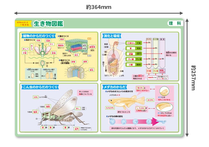 ��ؼ�������Ϥ�ݥ�����������ʪ�޴աۣͣС߲�ʸ�� �ޥ��ͥåȥ������� ���դ��ݥ�����B4������ �ΰ�ޥ��ͥåȡ������ظ����