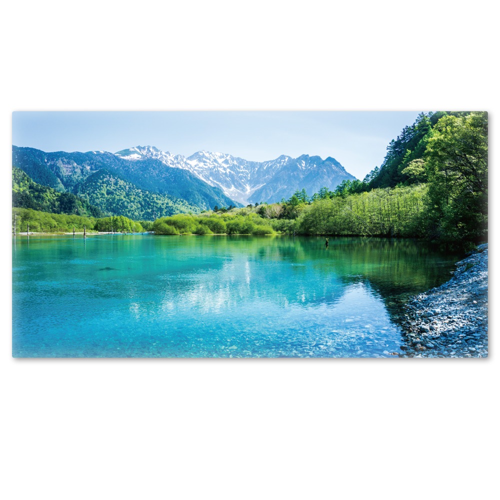 �礭���磻�ɤ���Ϥ�ݥ������ھ���ϡۥޥ��ͥåȥ��������������ظ�������̵����