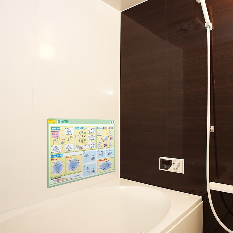 ��ؼ�������Ϥ�ݥ�������ŷ�ο޴աۣͣС߲�ʸ�� �ޥ��ͥåȥ������� ���դ��ݥ�����B4������ �ΰ�ޥ��ͥåȡ������ظ����