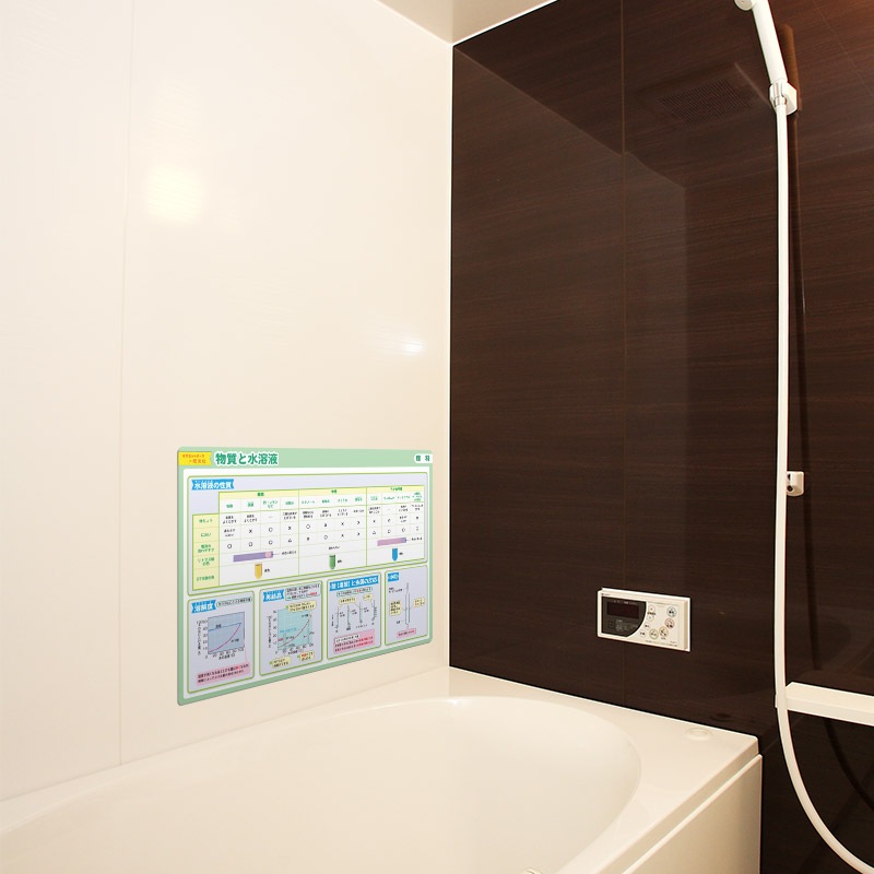 ��ؼ�������Ϥ�ݥ�������ʪ���ȿ��ϱաۣͣС߲�ʸ�� �ޥ��ͥåȥ������� ���դ��ݥ�����B4������ �ΰ�ޥ��ͥåȡ������ظ����