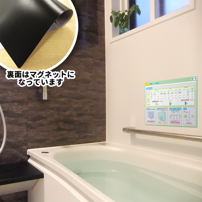 ��ؼ�������Ϥ�ݥ�������ʪ���ȿ��ϱաۣͣС߲�ʸ�� �ޥ��ͥåȥ������� ���դ��ݥ�����B4������ �ΰ�ޥ��ͥåȡ������ظ����