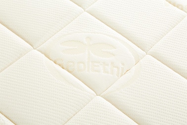 �ե�å���FX