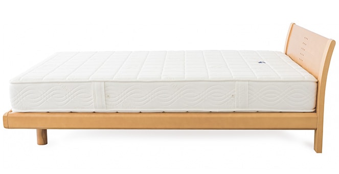 �ե�å���FX