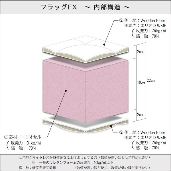 �ե�å���FX