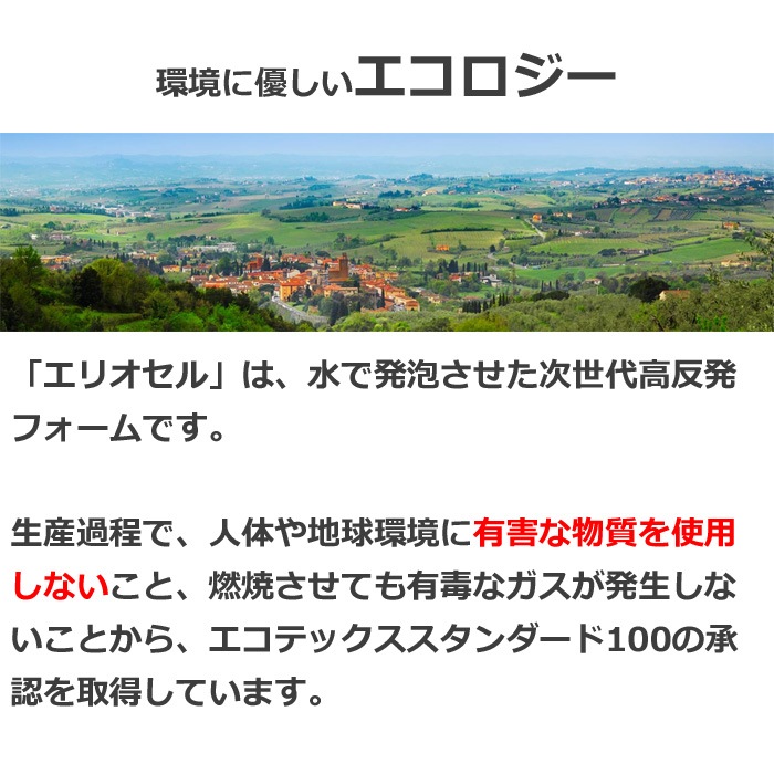 メッシュウィング マニフレックス　 三つ折りマットレス 硬め 三つ折り 通気性  【正規販売店 安心の10年保証】【メンテナンスの手引き冊子付き】 折りたたみ 高反発マットレス マニフレックスマットレス