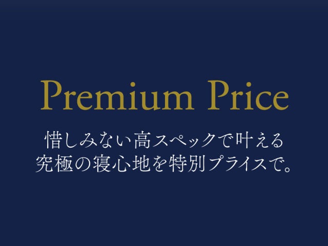 エコサンドロ　マニフレックス　日本上陸30周年記念モデル　かたさmedium 腰サポート　高級感のある寝心地　寝返りしやすい　イタリア　寝具　高反発マットレス