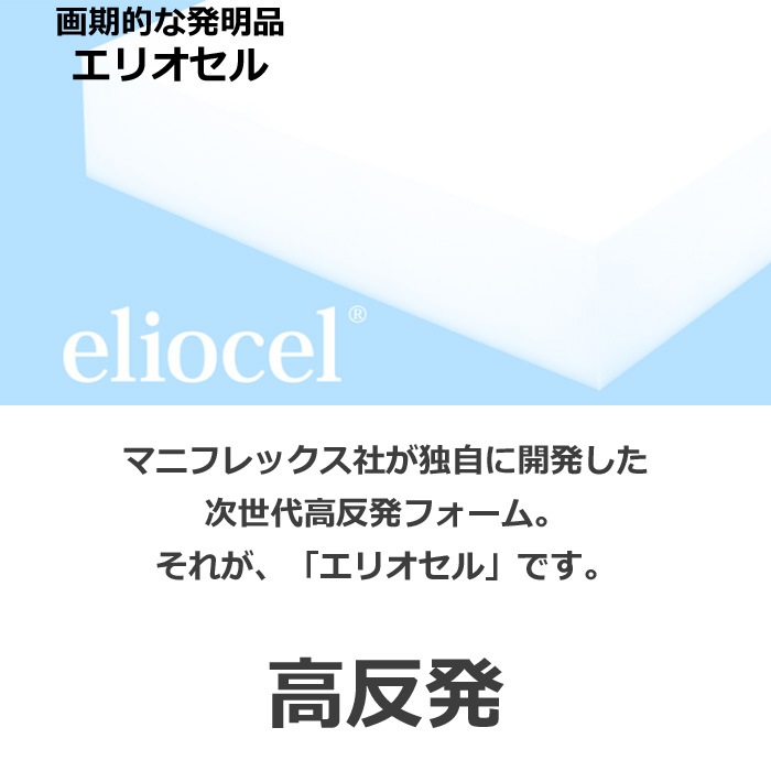 エコサンドロ　マニフレックス　日本上陸30周年記念モデル　かたさmedium 腰サポート　高級感のある寝心地　寝返りしやすい　イタリア　寝具　高反発マットレス