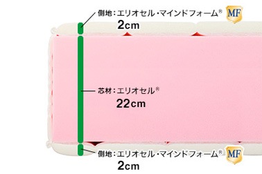 マニフレックス　モデルＦＭ　【マニフレックス認定ショップ】長期保証　イタリア生まれの体圧分散マットレス【送料無料】イタリア　寝具　高反発マットレス