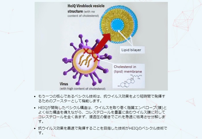 マニフレックス　ハイキュ　ヴィロブロックトッパー　ウイルスを99.99％減少　抗バクテリア　抗ウイルス　エルゴトッパー【正規販売店】マットレストッパー　凸凹状