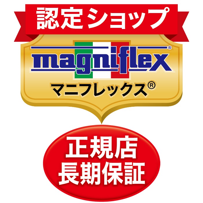 マニフレックス ピローグランデ ビッグサイズ70×45cm キャリーホルダー付き 【正規販売店】【長期3年保証】ラグジュアリーピロー 気温で固さが変わらず年中同じ寝心地 まくら難民にオススメ 枕 ピロー 肩こり 首こり