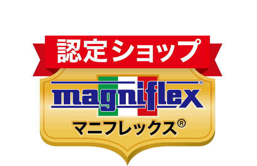 マニフレックス バイオシェイプ　レディースピロー【マニフレックス認定ショップ】正規店長期保証 Bioshape ladys pillow マニフレックス枕【送料無料】気温で固さが変わらず年中同じ寝心地　まくら難民にオススメ　枕難民