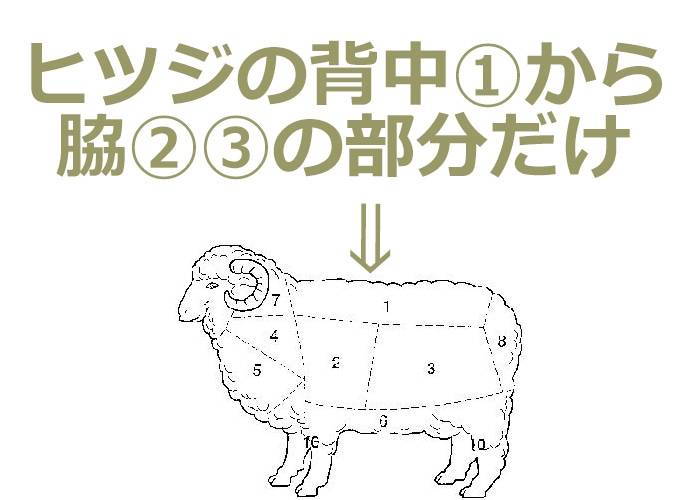 ベッドパッド ベットパット ウール 羊毛 寝具 ビラベック 快適な睡眠にこだわるドイツ気質が作り上げた ビラベック羊毛ベッドパッド