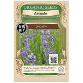 A431 ��٥���� 0.6g ͭ����� ����� ���� ���� ���꡼��ե�����ɥץ��������� �ڥݥ�����ȡ���оݡ�