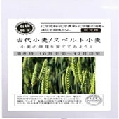 A482 ���微��/���ڥ�Ⱦ��� 15g ͭ����� ����� �� ���� ���� ���꡼��ե�����ɥץ��������� �ڥݥ�����ȡ���оݡ�