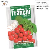 ��ޤ�(2-10��)����ǥ��å��塡RAVANELLO RAPID RED 2 SEL. SANOVA [112/29] franchi�� ��� ��(����) �ڥݥ�����ȡ�ء�