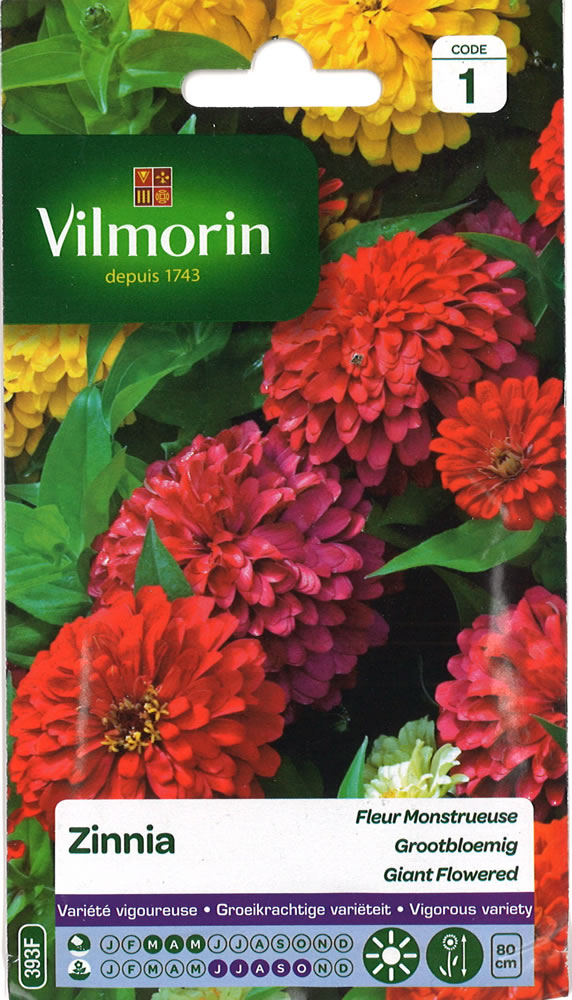 種まき(3-5月) ジニアの種 Fleur Monstrueuse / Vilmorin-393F 有効