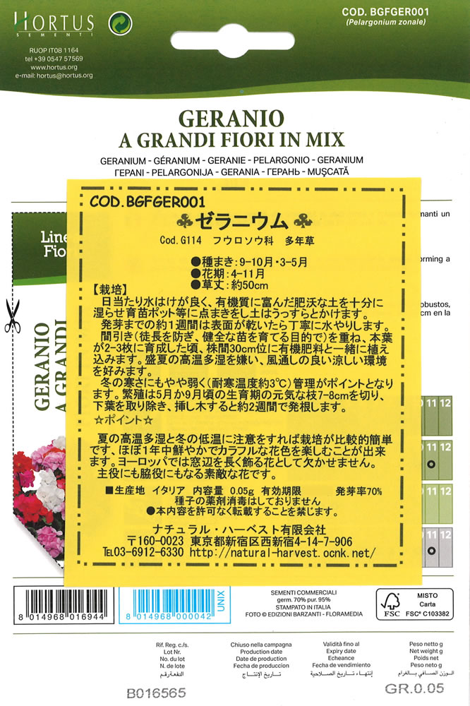 ゼラニウム様・専用 Amazon.co.jp: ゼラニウム ホワイトトゥローズ 3～3.5号ポット苗