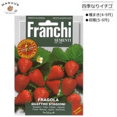 ��ޤ�(4-9�� )���͵��ʤꥤ�����μ� LAVANDA-VERA [63/1] Fr anchi�ҡ� ������ �� ��(����) 