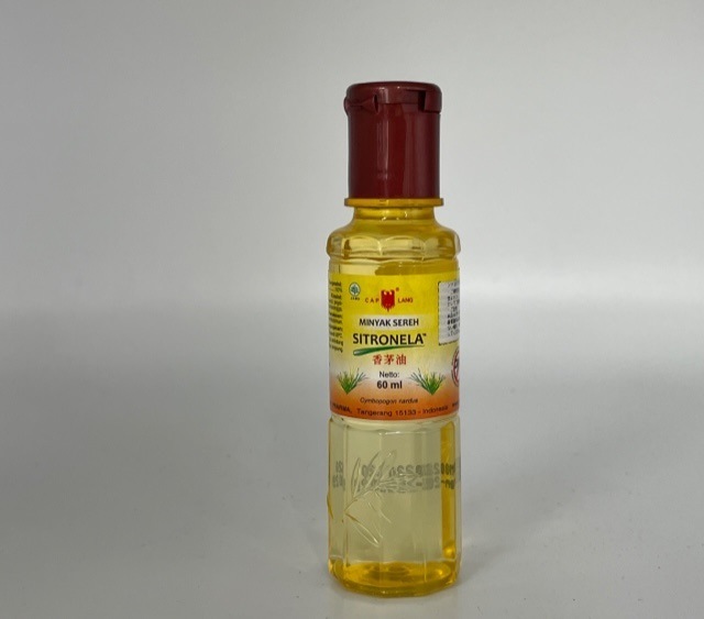 ɥͥΥȥͥԥ奢롡äפꡢȥɥˤؤΤ