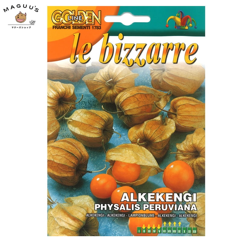 ��ޤ�(4-6��) ���ѥۥ������μ� [97/150] Franchi GOLDLINE����� �ʥ��� ��(����) �ڥݥ�����ȡ�ء�