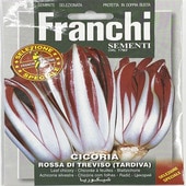 ��ޤ�(5-9��)���꡼�ե����꡼�μ� CICORIA ROSSA DI TREVISO [40/60] Franchi�ҡ� ��� �ϡ��� ��(����)  �ڥݥ�����ȡ�ء�