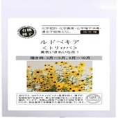 �ڲ֤μ�(����)�ۼ�����ˡ�μ�  A608 ��ɥ٥���/�ȥ���� 40γ ����� ���꡼��ե�����ɥץ���������