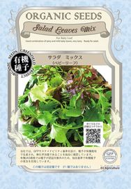 �ڥ٥ӡ��꡼�դμ�(����)�ۼ�����ˡ�μ� ���꡼��ե�����ɥץ���������  A655 �٥ӡ������� 0.6g(��160γ) �����