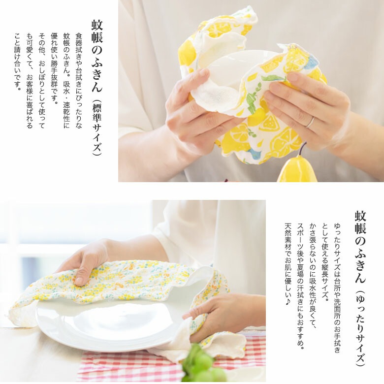 ���۲� �������Ϥդ���ڥ֥롼�٥꡼�����ɤβ�Ģ���� ���������ϥ󥫥��ˤ� ��6��ޤ�1����ݥ�����ȡ