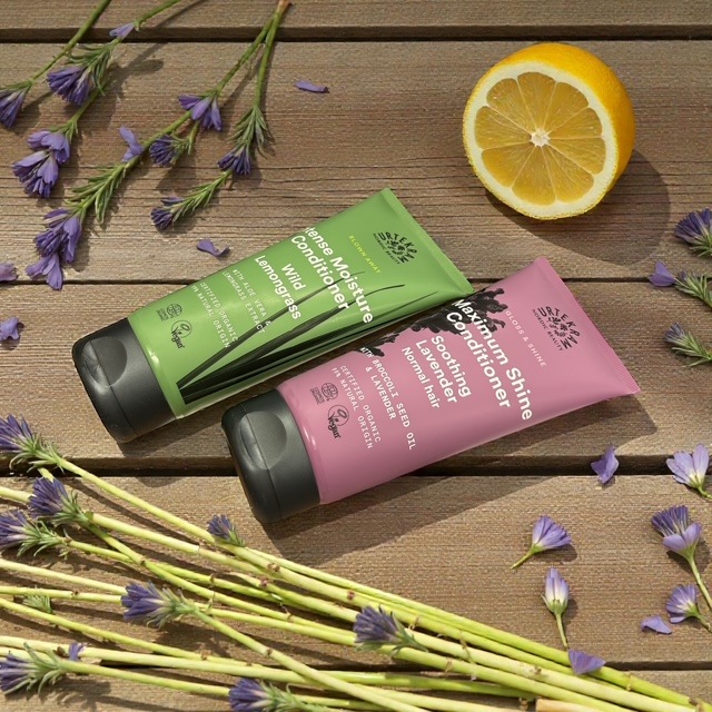 ����ƥ���ࡡ�⥤�����㡼 ����ǥ�����ʡ� �ڥإ�������