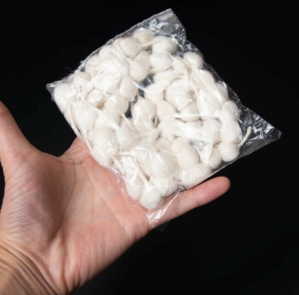 ����������ѡ����åȥ���������ޤ�̡�[�� [10g]]���ϥ�ɥᥤ��
