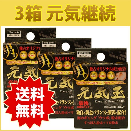 元気玉 3箱 元気継続コース