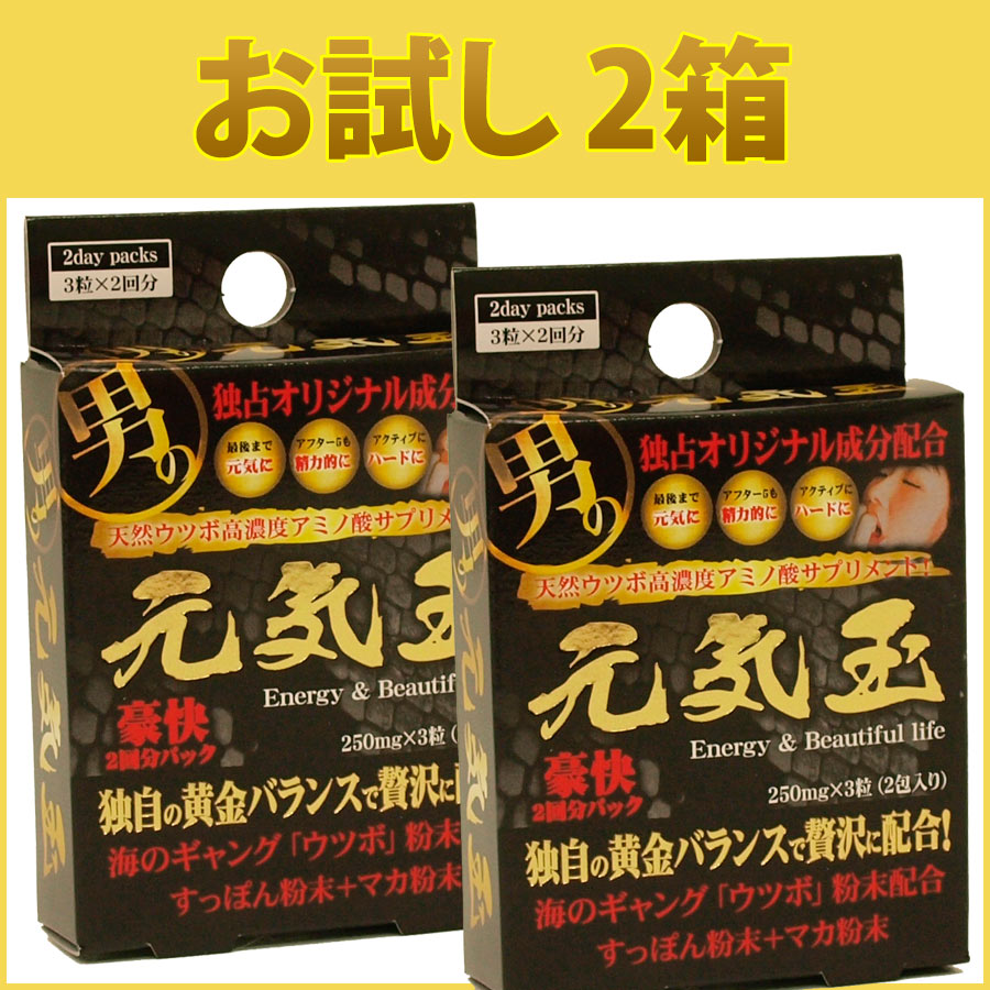 元気玉 お試し 2箱（送料別途350円）