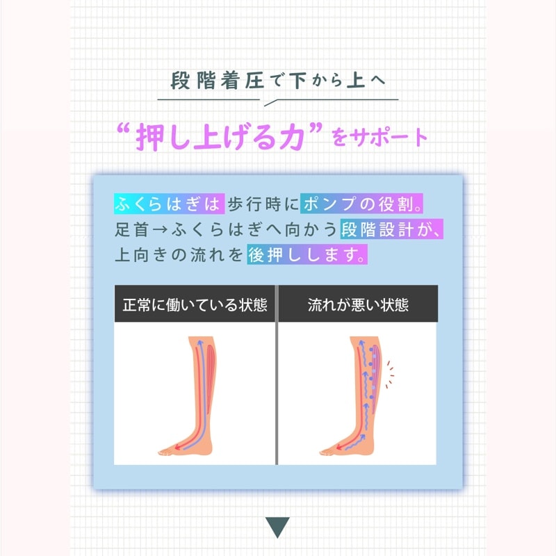 尵 å ǥ 尵 쥮  ˡΥϥåPRO ֥å ١ 尵 ϥå ץȥ ݡ ȥ