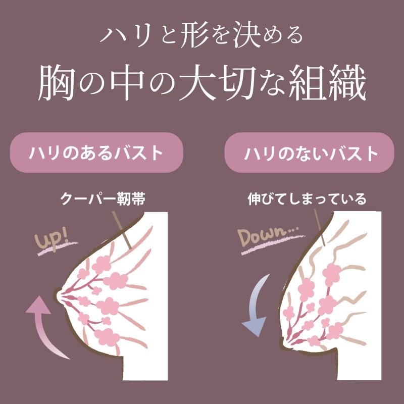 �Υ�磻�䡼�֥�����硼�ġ��岼���å�