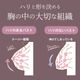 �Υ�磻�䡼�֥�����硼�ġ��岼���å�