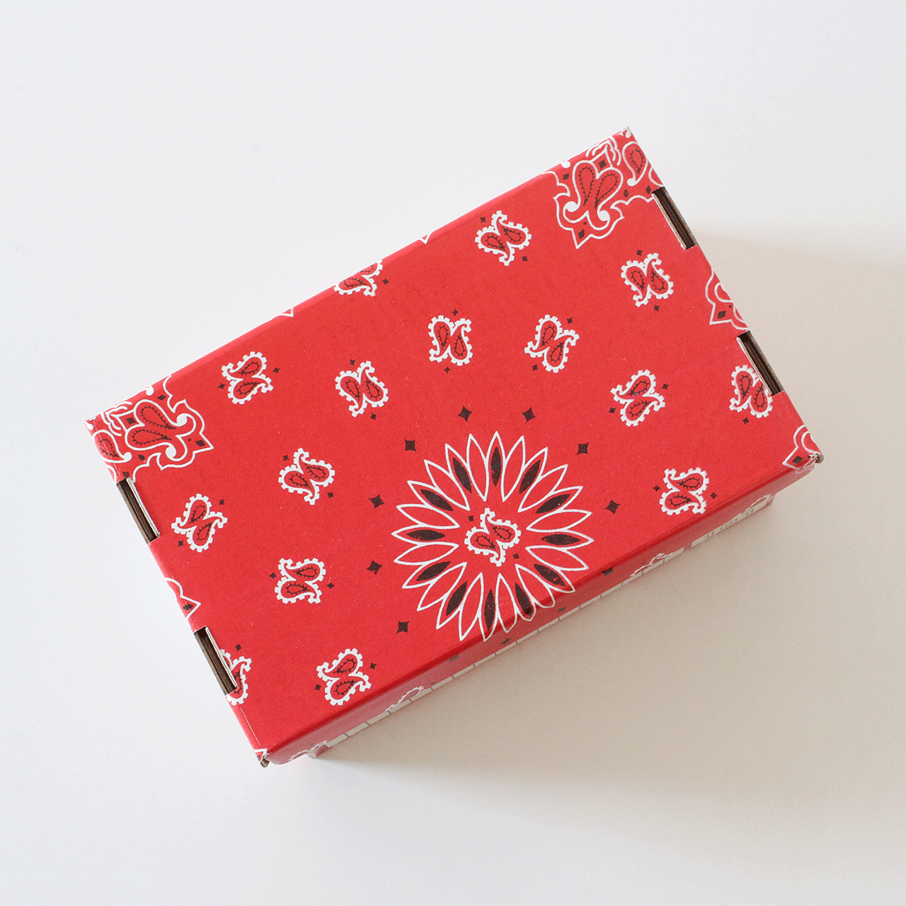 �Х󥫡����ܥå��� 101(�ե�������)