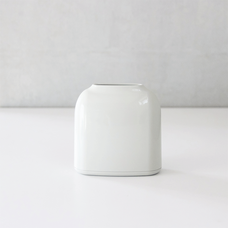 �ԥå��� �ƥ��å��奱����(�ǥ奨���)