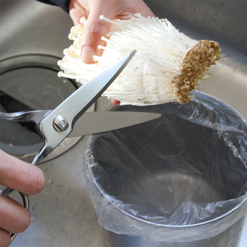 ���å��󥹥ѥå���(Ļ�������)