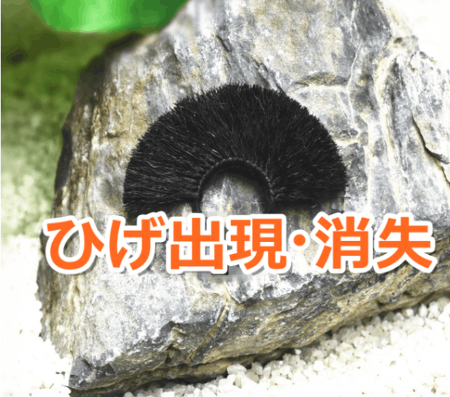 �������ƻ�񡡤Ҥ��и����ü� �ڥ䥯���ӿʲ��ǡ�