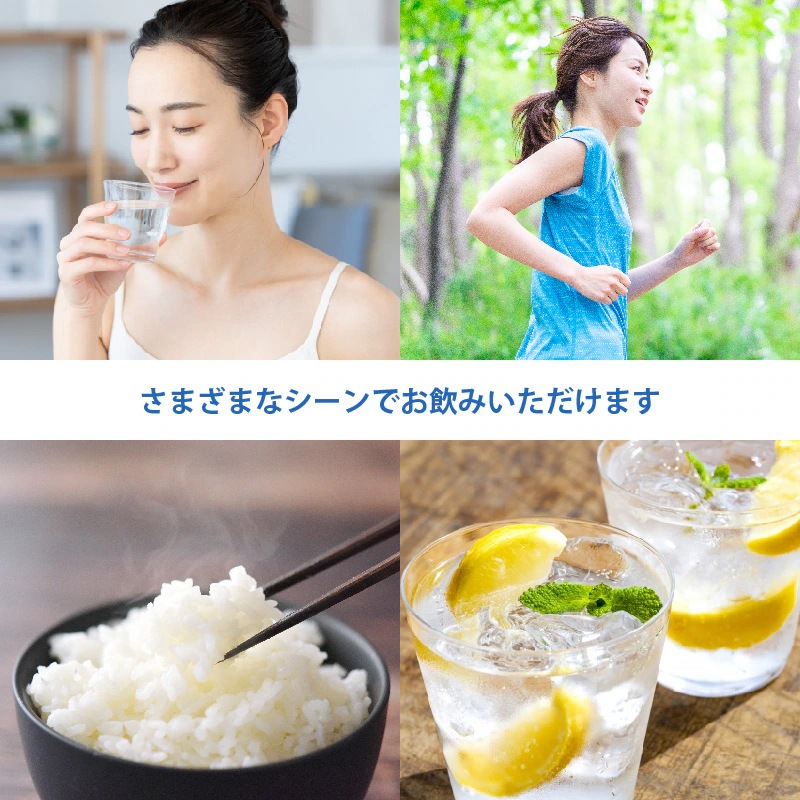 Silica Springs 500ml×24本入り 2箱