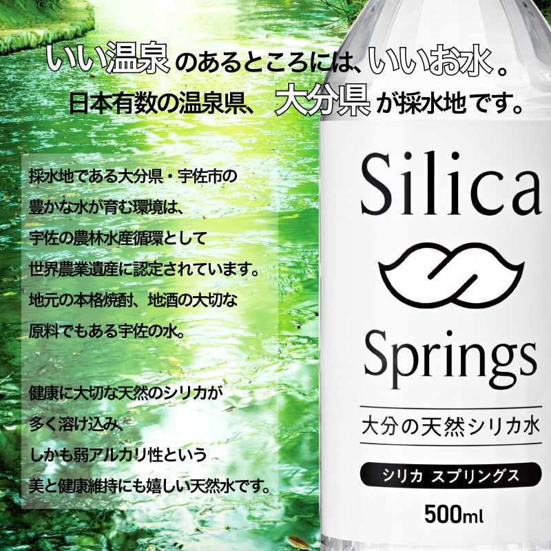 【定期】Silica Springs 500ml×24本入り 2箱