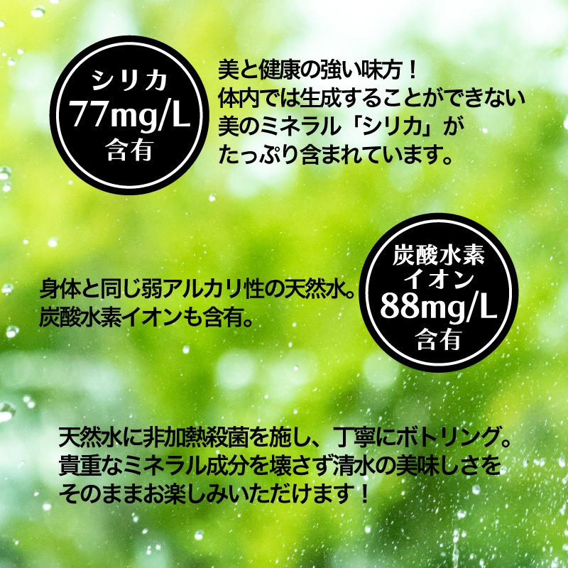 【定期】Silica Springs 500ml×24本入り 2箱