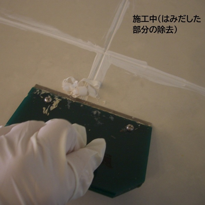 MEJIペイント[250g]【日本製目地着色剤】 | 目地のメンテナンス