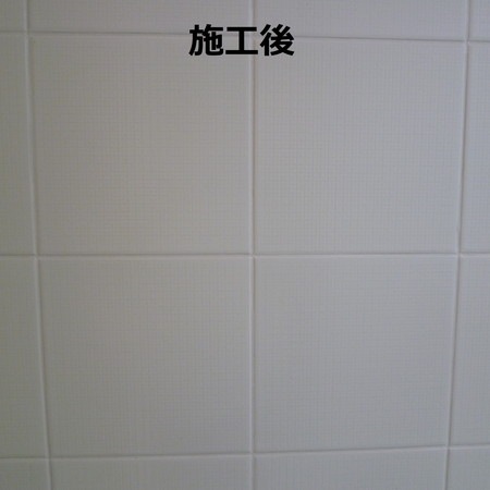 MEJIペイント[250g]【日本製目地着色剤】